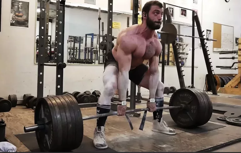 Источник фотографии: Яндекс картинки 