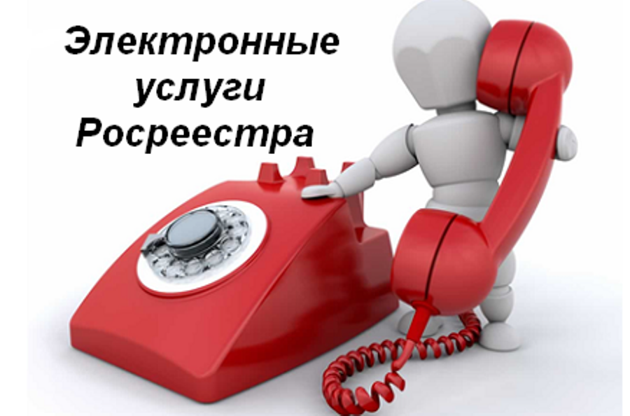 Прямая линия Кадастровой палаты.