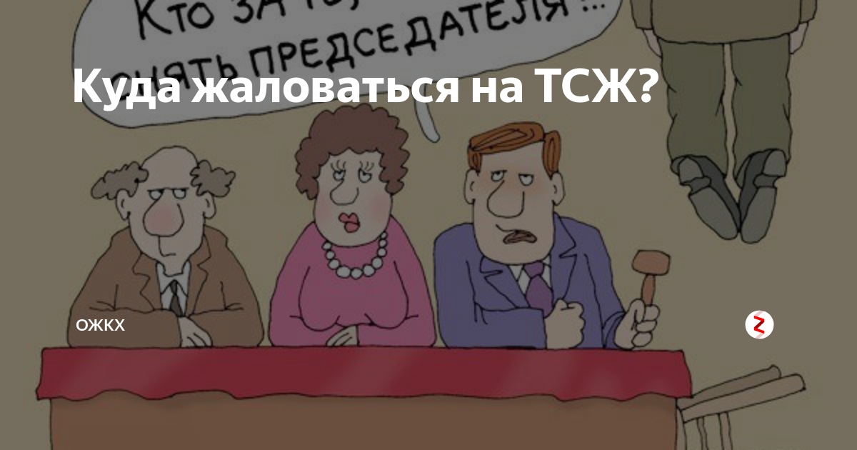 Руководитель товарищества. ТСЖ карикатура. ТСЖ приколы. Анекдот про председателя ТСЖ. Председатель ТСЖ картинки.