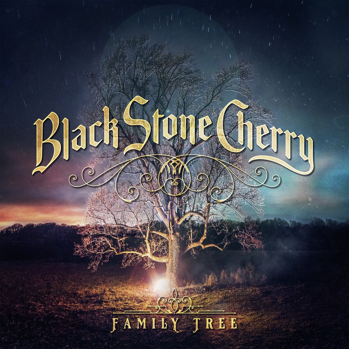 Обложка альбома Black Stone Cherry "Family Tree"