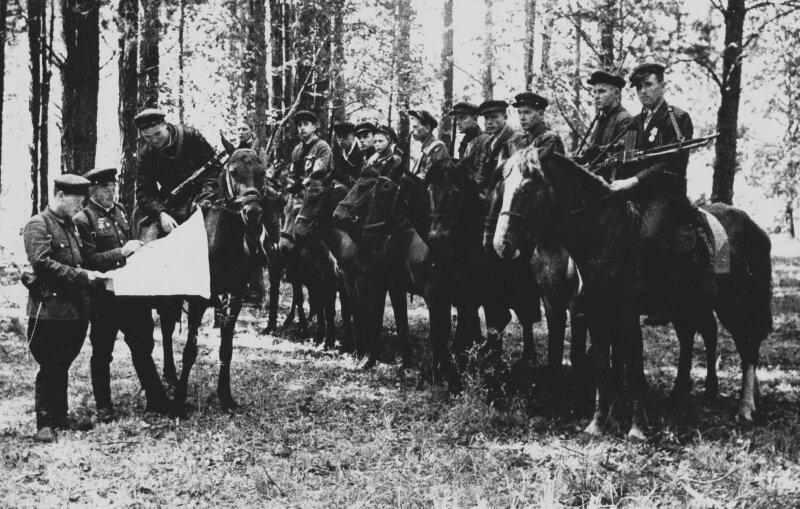 Партизанский кавалерийский отряд