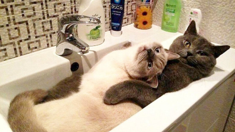 Фото с сайта - club577.com