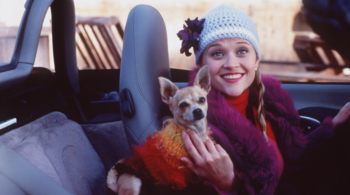 Кадр из фильма "Блондинка в Законе"