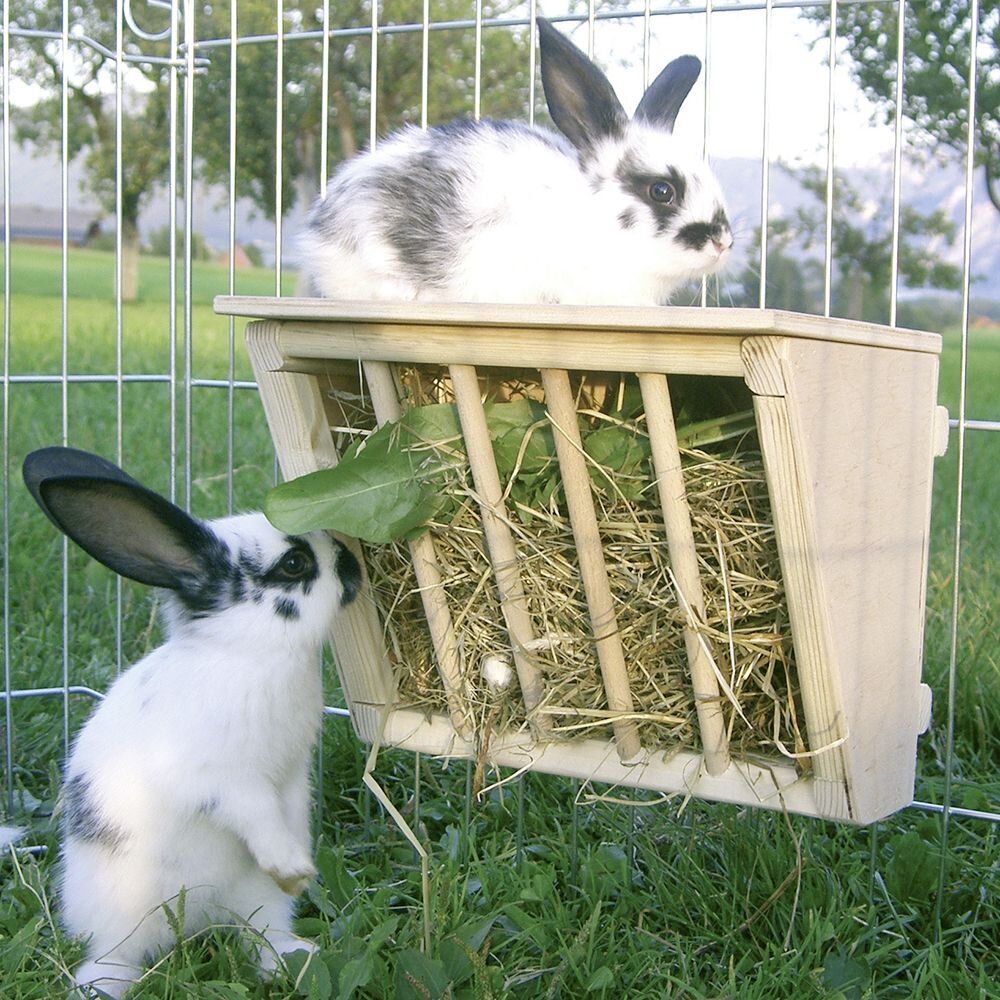 Бункерные кормушки для кроликов