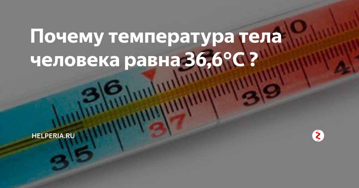 Температура здорового человека равна 36.6 такую температуру. Температура 35.5. Понижение температуры предмет. Температура без повода