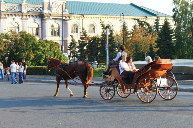 В последнее время покупательский спрос несколько просел. Во-первых, рынок насытился, а, во-вторых, очень сильно сказывается общая экономическая ситуация. Если у людей нет денег, то им не до карет — они вкладываются в самое необходимое 