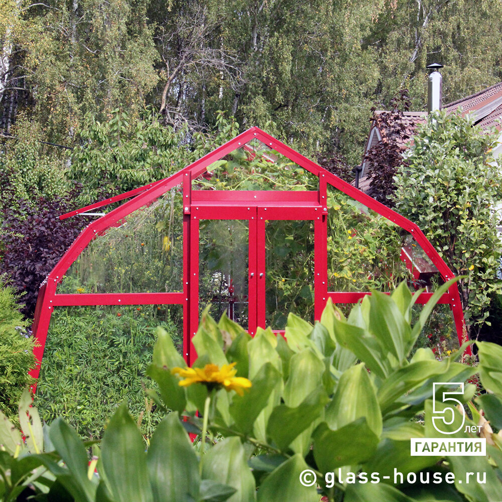 Теплица БЕРЕЗКА РИО