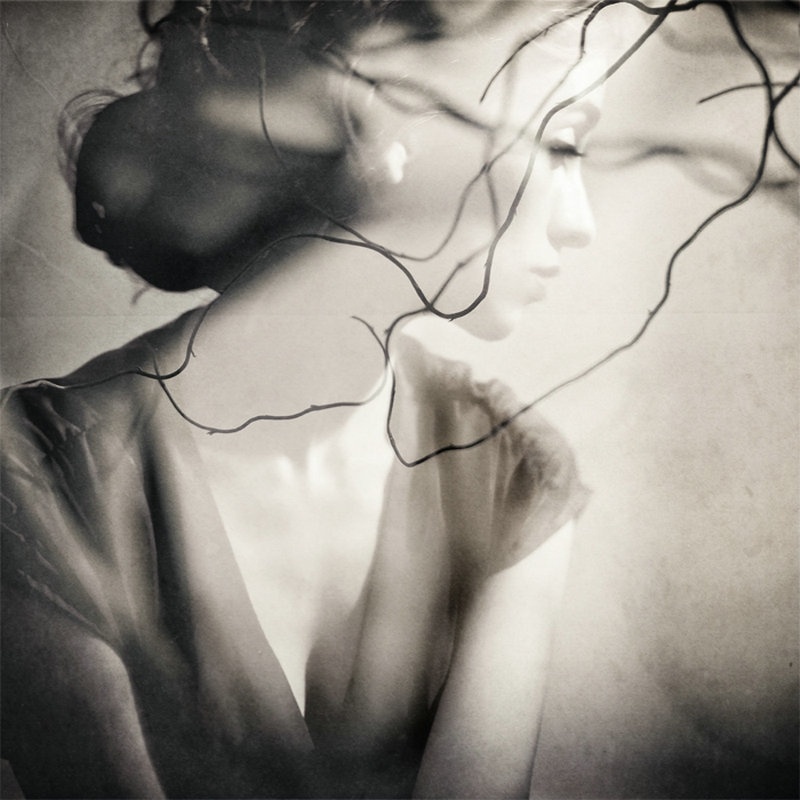 из открытых источников фотография