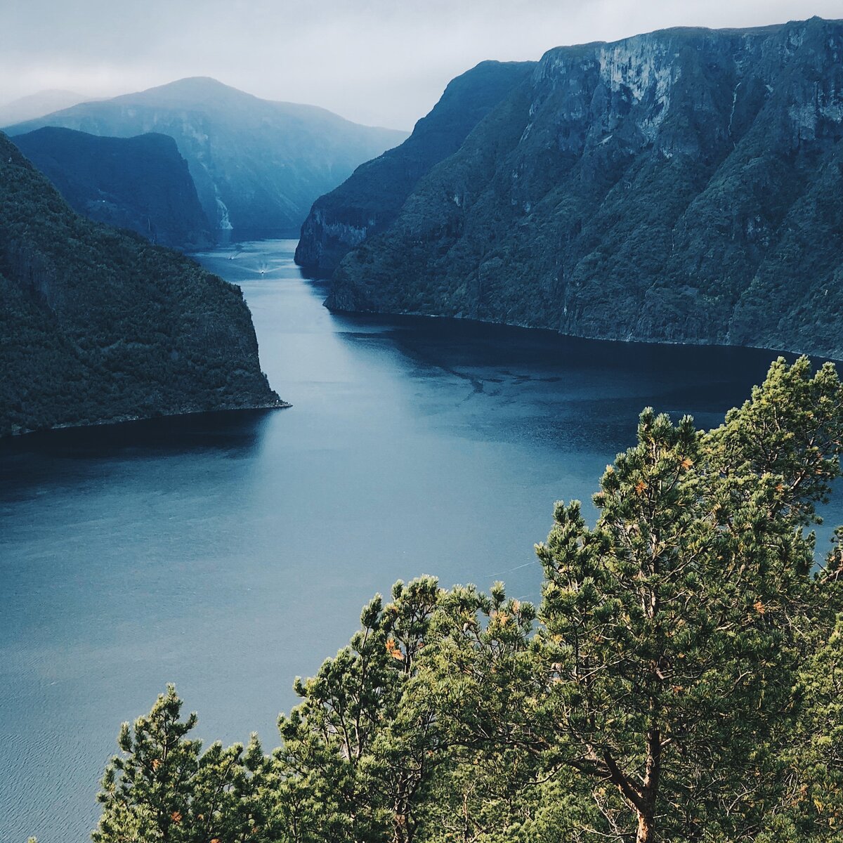 Вид на Согнефьорд (Sognefjorden) со смотровой площадки Stegastein viewpoint.