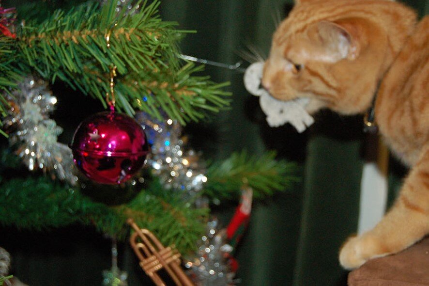 фото не мое, но выглядело это как-то так))