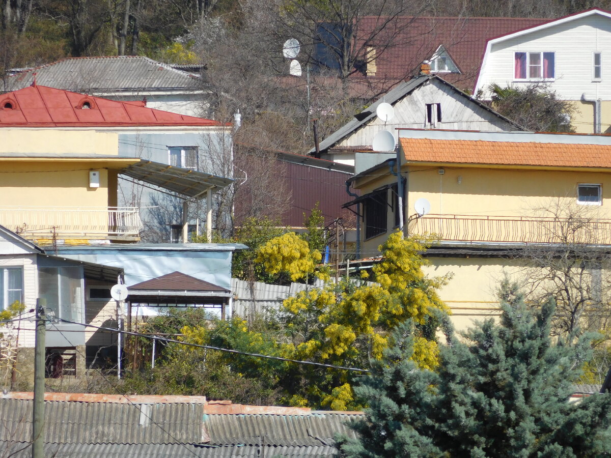 Вот это было первое, что мы увидели когда прилетели в марте.