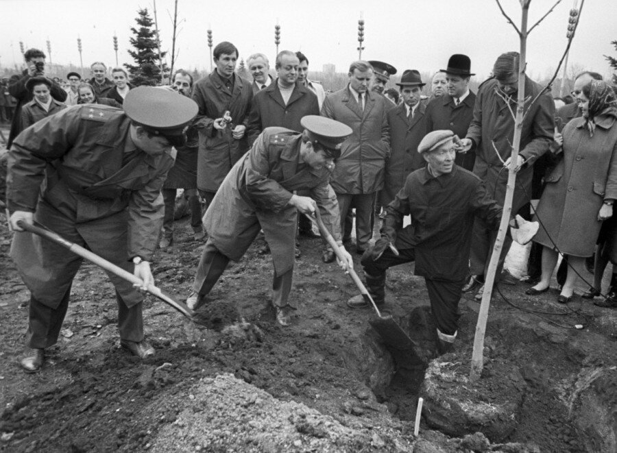 Павел Беляев сажает каштан в память Юрия Гагарина и Владимира Комарова. 1968 год