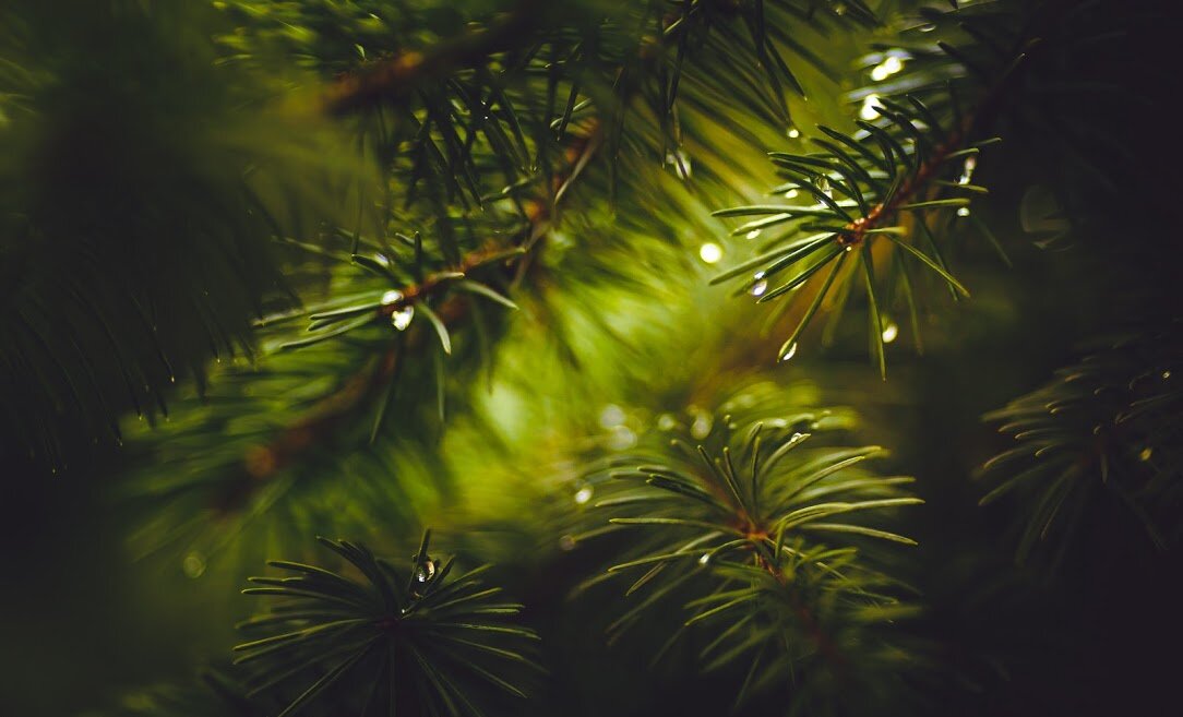 © Фото: ИД «Волгоградская правда» / Кирилл Брага