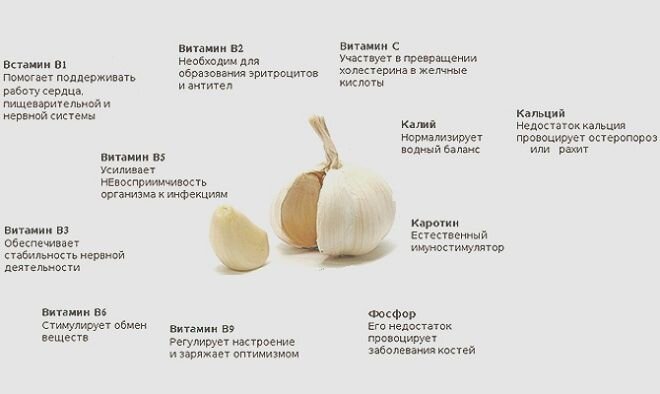 источник фото: интернет