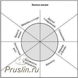 колесо жизни