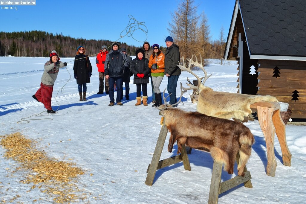 Оленья ферма в нижегородской