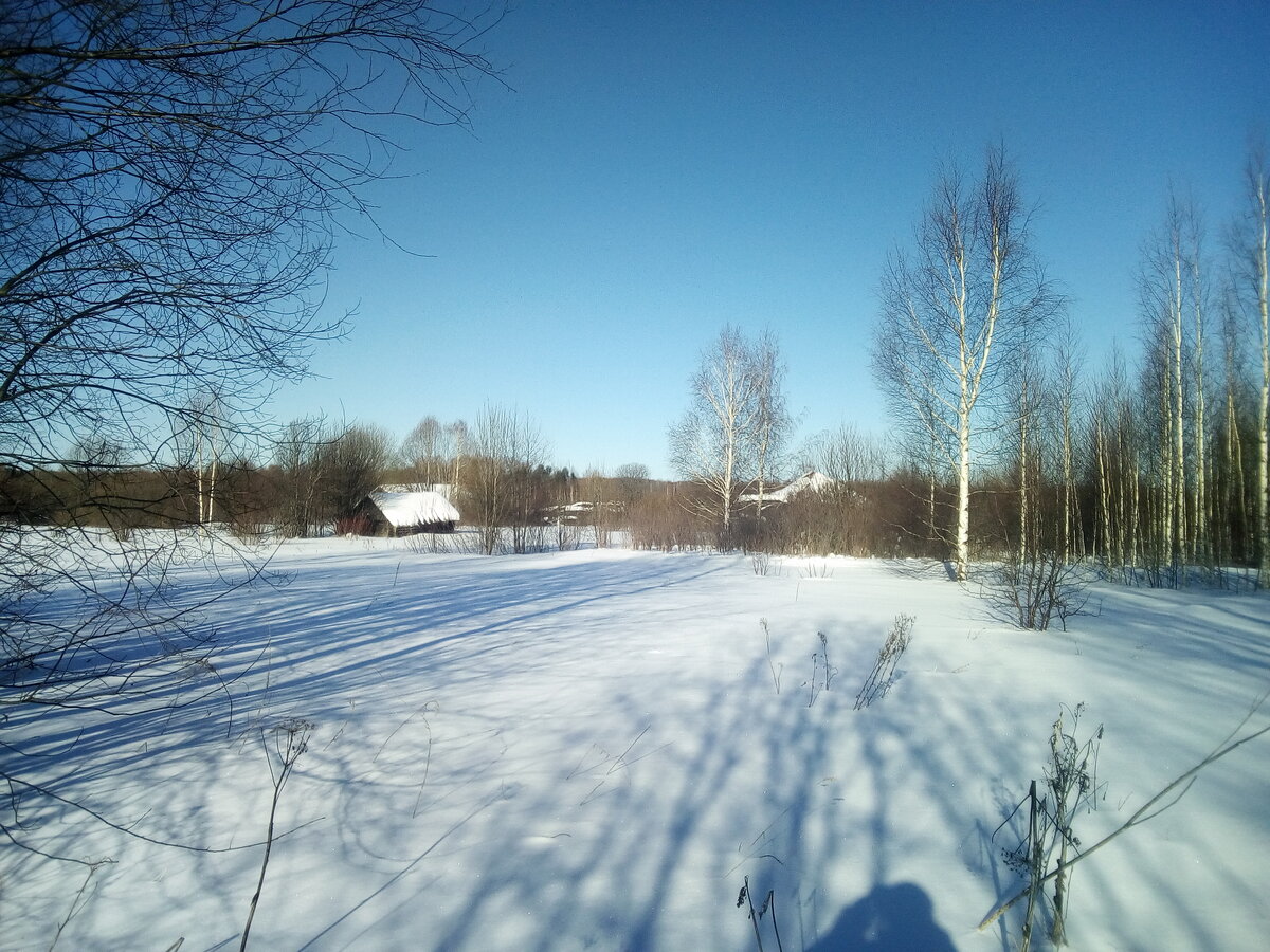 Гаврино Московская область