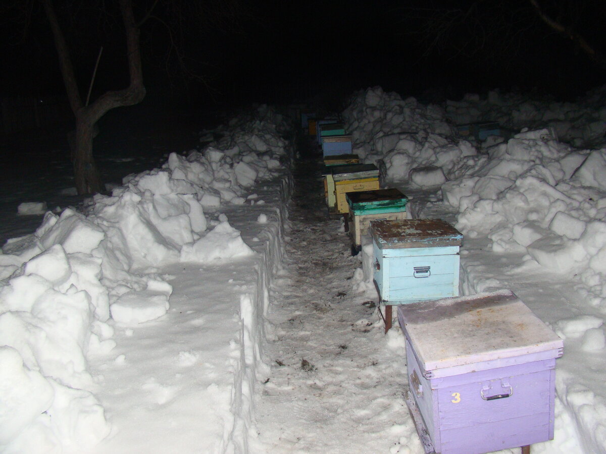 В таких снеговых завалах по бокам пчёлам даже лучше, чем без них - ветер не так продувает.