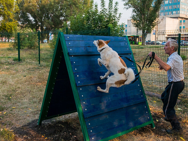 Площадка для собак своими руками (59 фото)