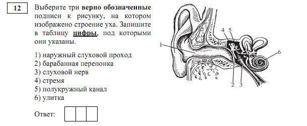 скрин демоверсия 2019 