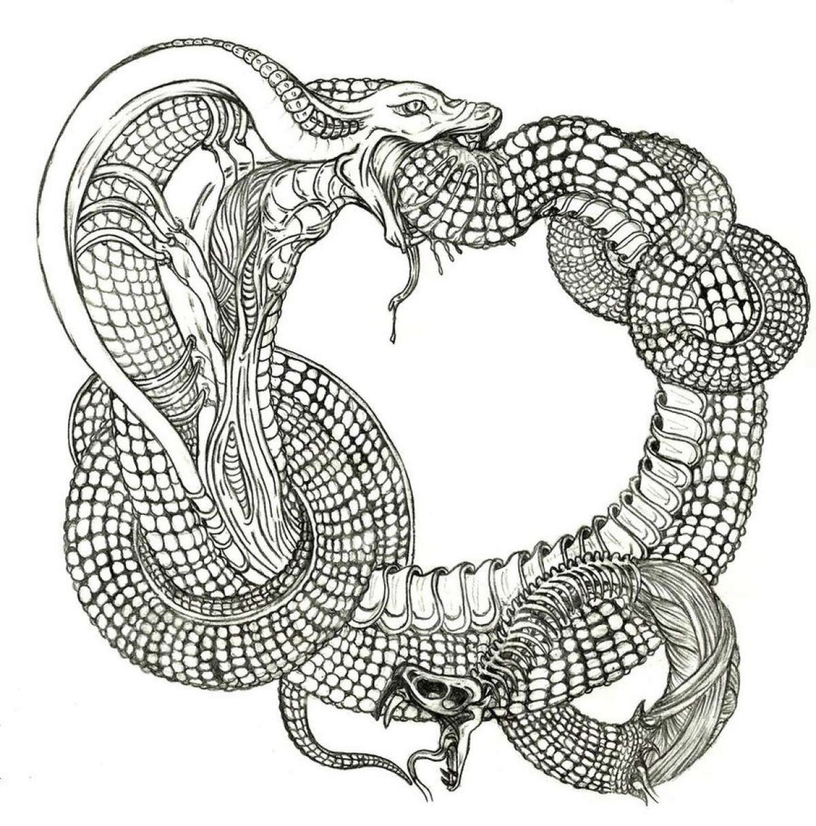 Змей ёрмунганд Уроборос
