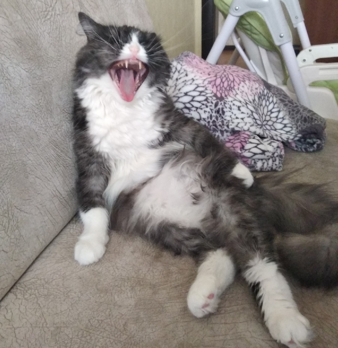 Моя хищница