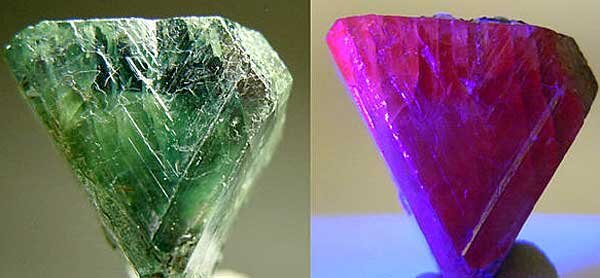 Источник фото: mensensamenleving.me