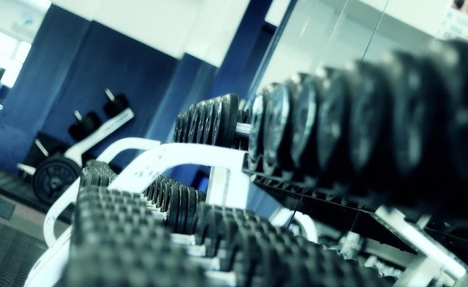  Фото: pixabay.com