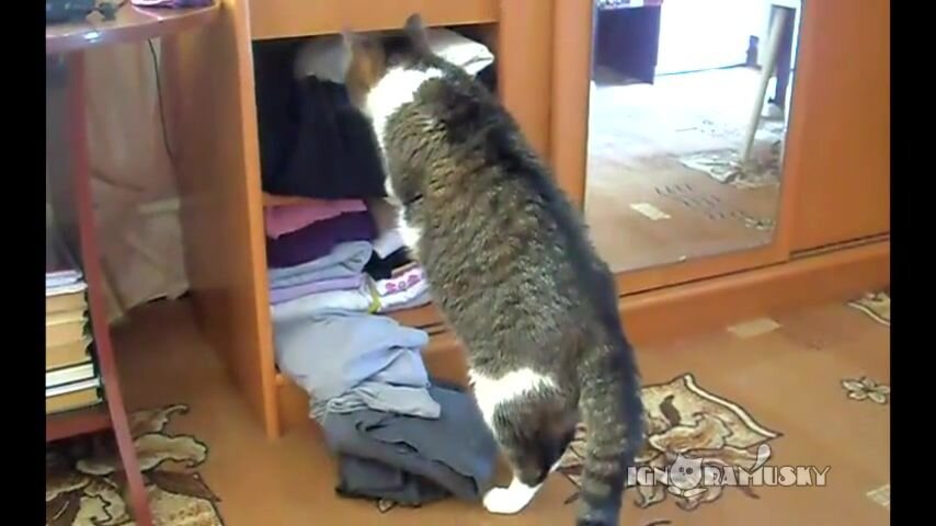 фото взято из открытого  источника Яндекс  картинки.