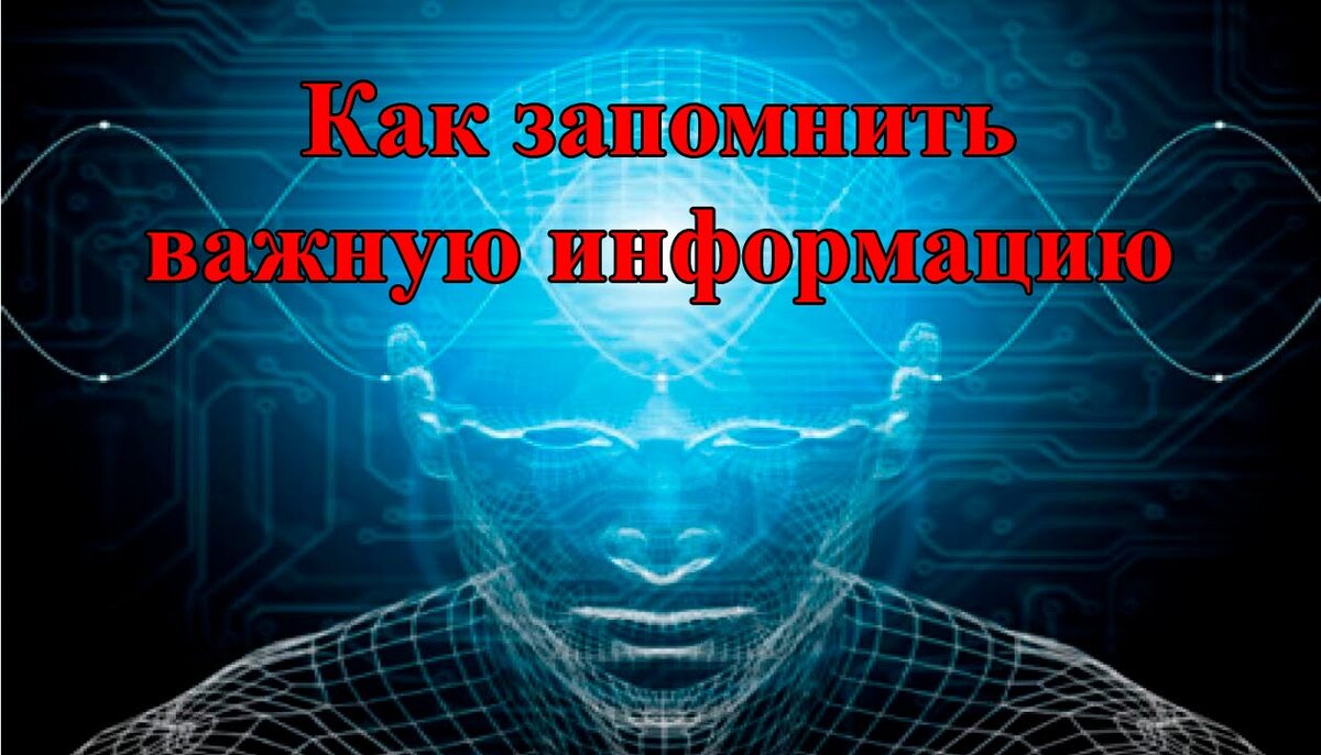 Хотите улучшить память. 