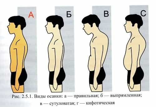 Как уменьшить большие ягодицы: 7 шагов