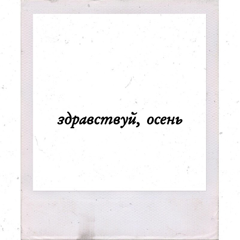 в целом ничего не изменилось, ты все так же просыпаешься по утрам, моешься, завариваешь кофе, лениво морщишься на свой завтрак, только с каждым днем за окном все темнее. и однажды твой будильник прозвонит, ты откроешь глаза и увидишь ночь. а это значит, что в твоем городе осень. осень похожа на изысканную болезнь: сначала ты любуешься сменой красок, хватаешь руками листопады, но уже начинаешь чувствовать какую-то нездешнюю печаль и проникаешься тихой нежностью к любимым и близким, словно бы завтра с последним упавшим на асфальт листом исчезнут и они. но время идет, и поэтический флер спадает с осени, обнажая голые деревья, холод, пасмурную слякоть и первый мокрый снег, быстро превращающийся в грязь под ногами простуженных людей с угрюмыми лицами. но чем холоднее и беспросветнее темнота снаружи, тем уютнее кажется теплый мягкий свет в квартире. и если лето – это время убегать из дома навстречу несбыточным мечтам подростковой души, то поздняя осень — время возвращаться. 