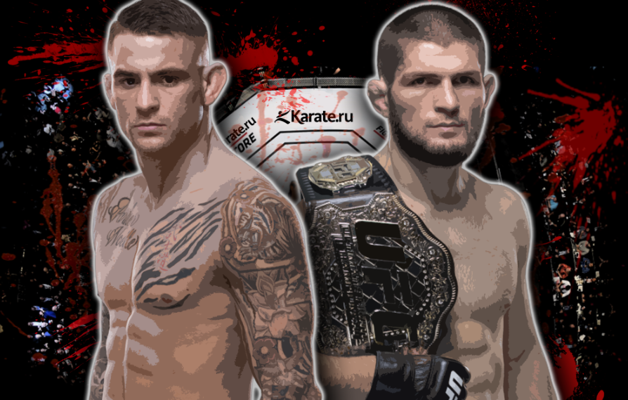 бой хабиба сколько денег