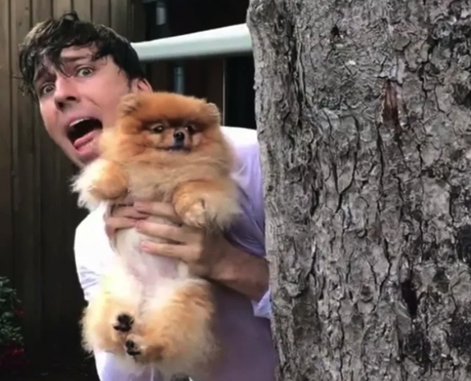 Маруся выглядывает из-за дерева. Картинка взята из открытых источников на Яндекс.Картинки