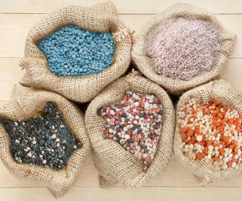 Изображение взято из открытых источников Яндекс. Картинки