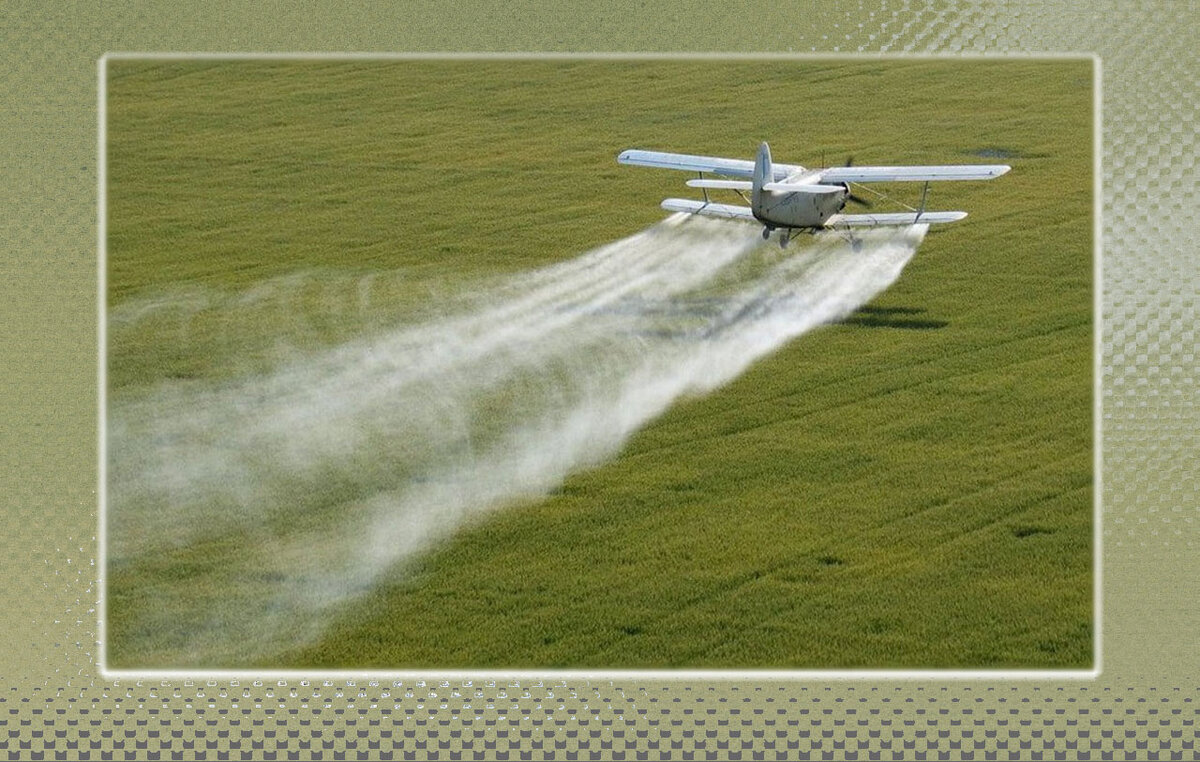 Компиляция автора из яндекс-картинок