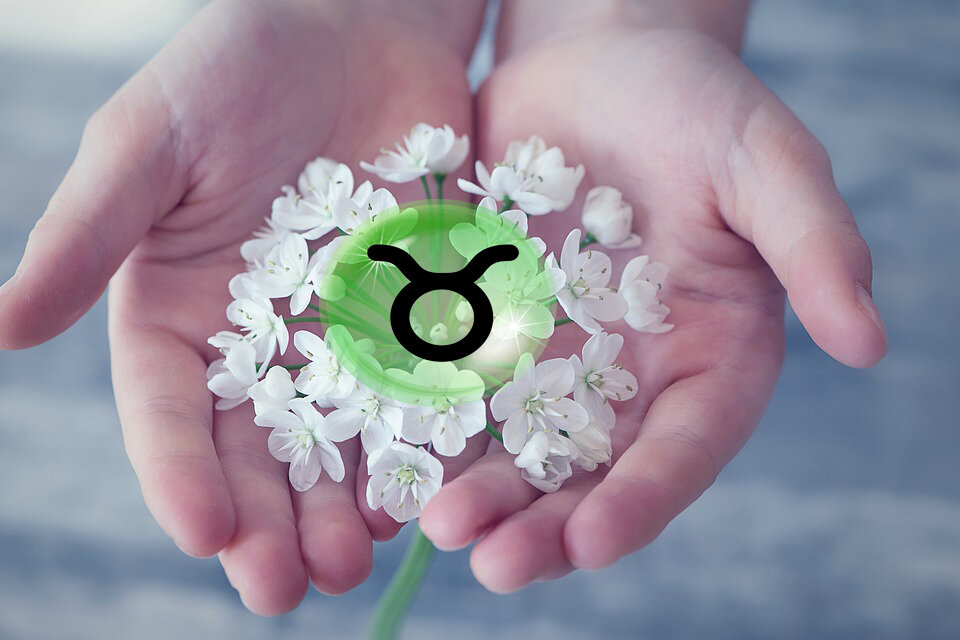 Телец. Гороскоп с 23-29 марта. источник оригинального фото: pixabay.com