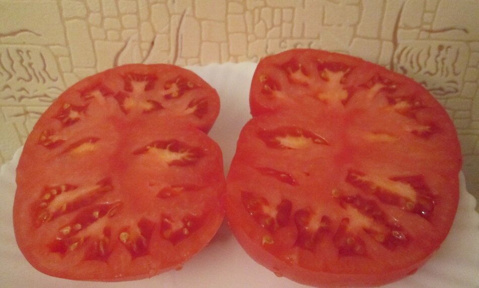 Фото: Яндекс Картинки. Томаты сорта "Большой Бен"