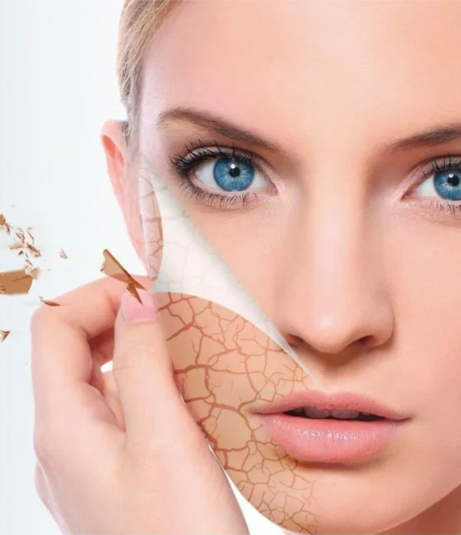 Иллюстрация из открытых источников