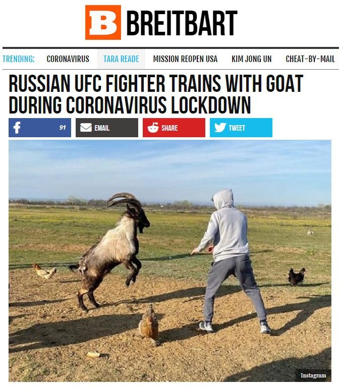 Российский боец MMA Забит Магомедшарипов опубликовал фото- и видеозаписи «тренировки» с крупным козлом, пишет Breitbart. Он пояснил, что в отсутствие возможности практиковаться с другими спортсменами из-за коронавируса «рад любому сопернику».Защитники животных могут не напрягаться: спарринг-партнёр бойца не пострадал.

