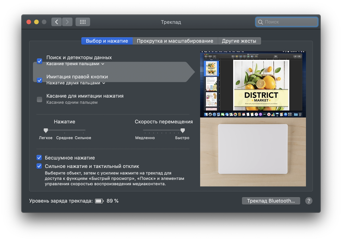 Мои настройки трекпада. Первая вкладка.