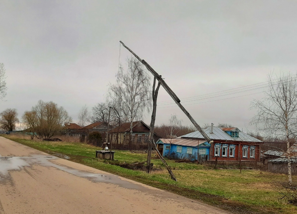 Журавль у дороги (фото автора)