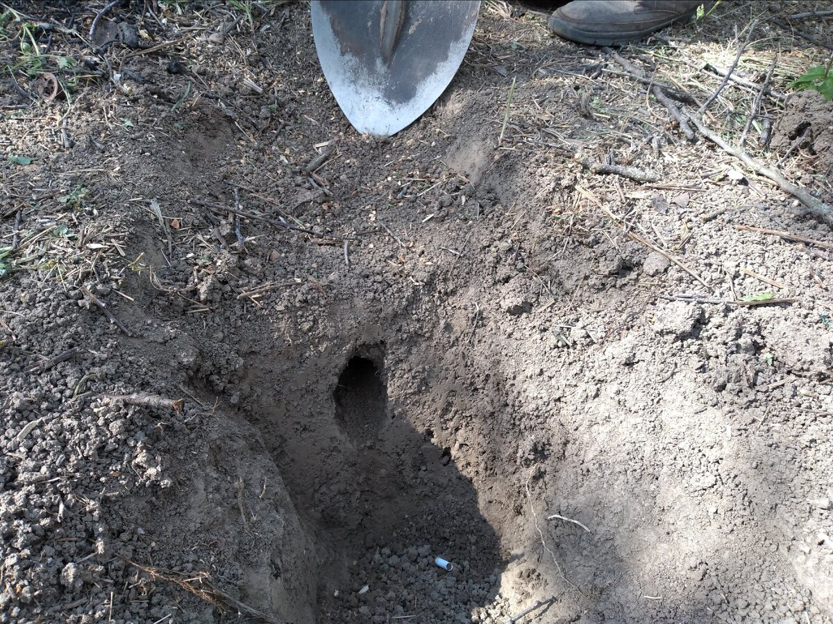 раскапываем вокруг.