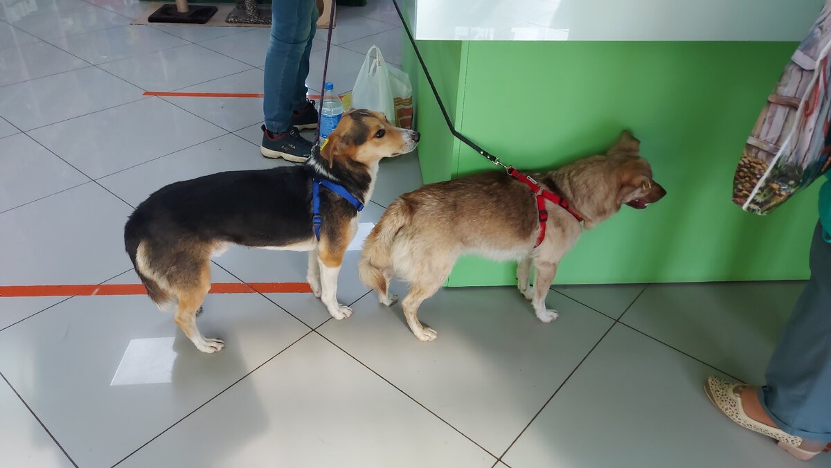 Готовы к отправке