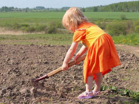 картинка из открытых источников.