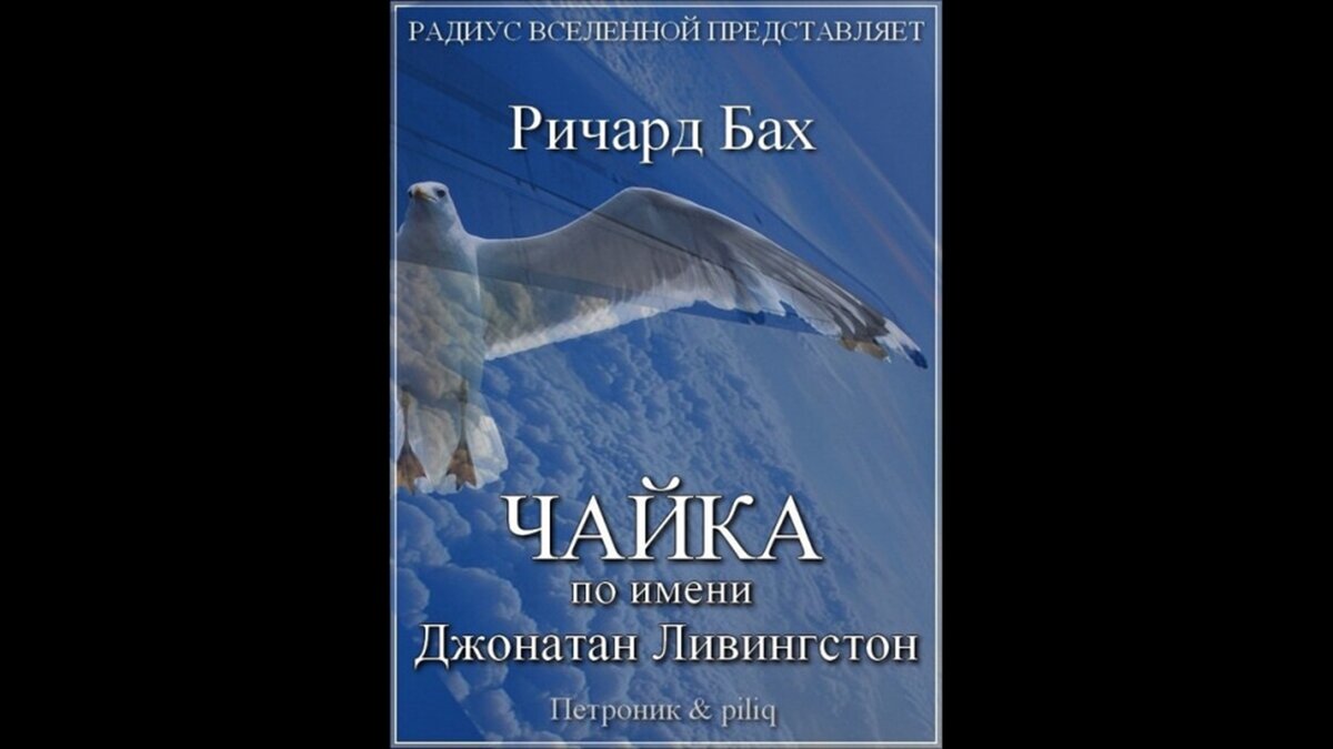 Бах р чайка по имени джонатан ливингстон. Чайка по имени Джонатан Ливингстон. Чайку по имени Джонатан Ливингстон. Чайка Джон Ливингстон.