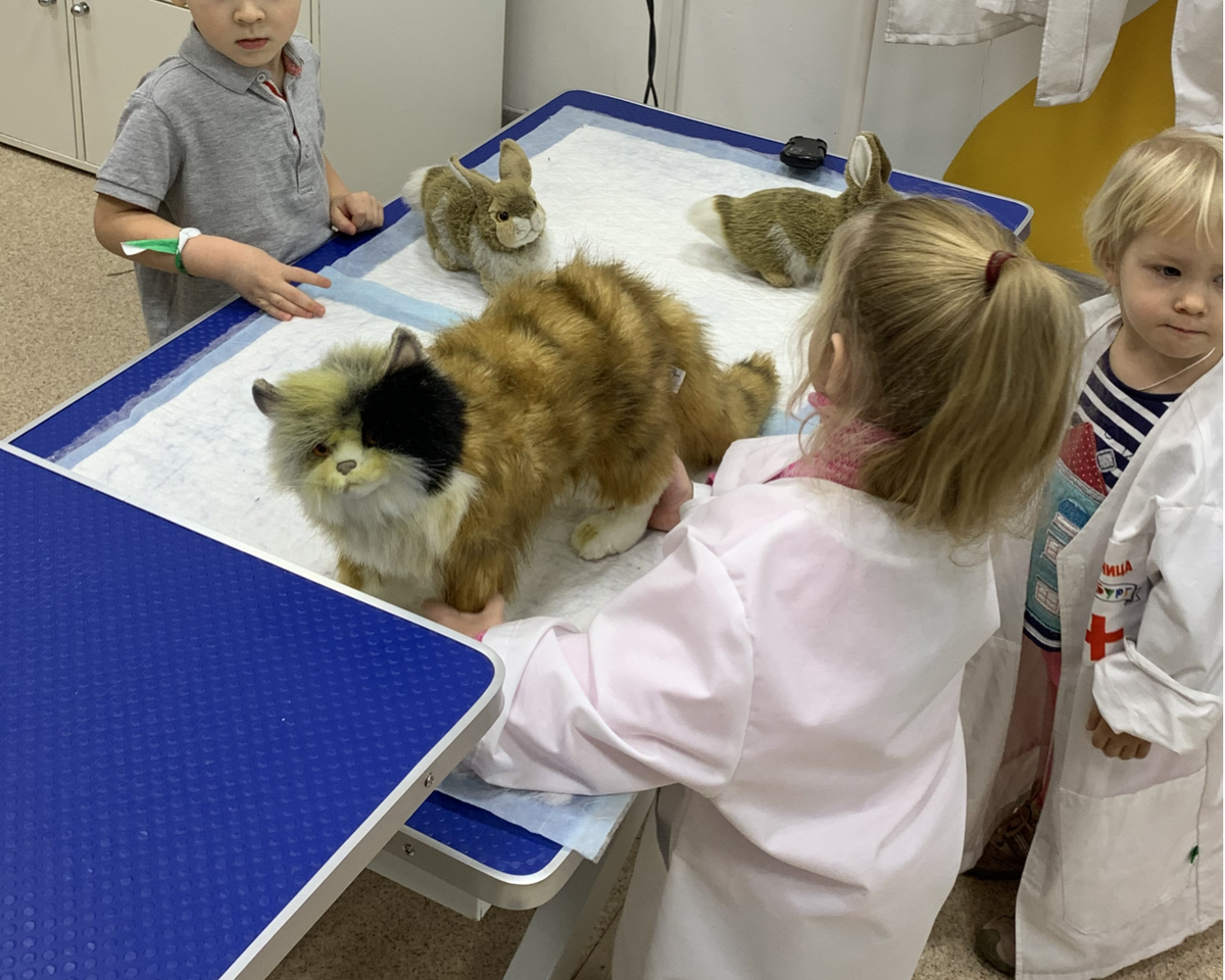 А так осваивается профессия ветеринара