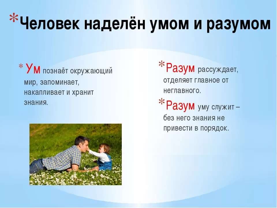 Разум и ум в чем отличие. Какой бывает склад ума у человека. Ум и его виды. Ум и его виды. Структура интеллекта человека.