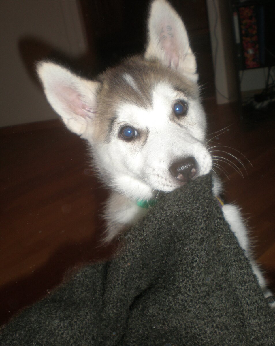 За минуту до дырки в любимом пледе