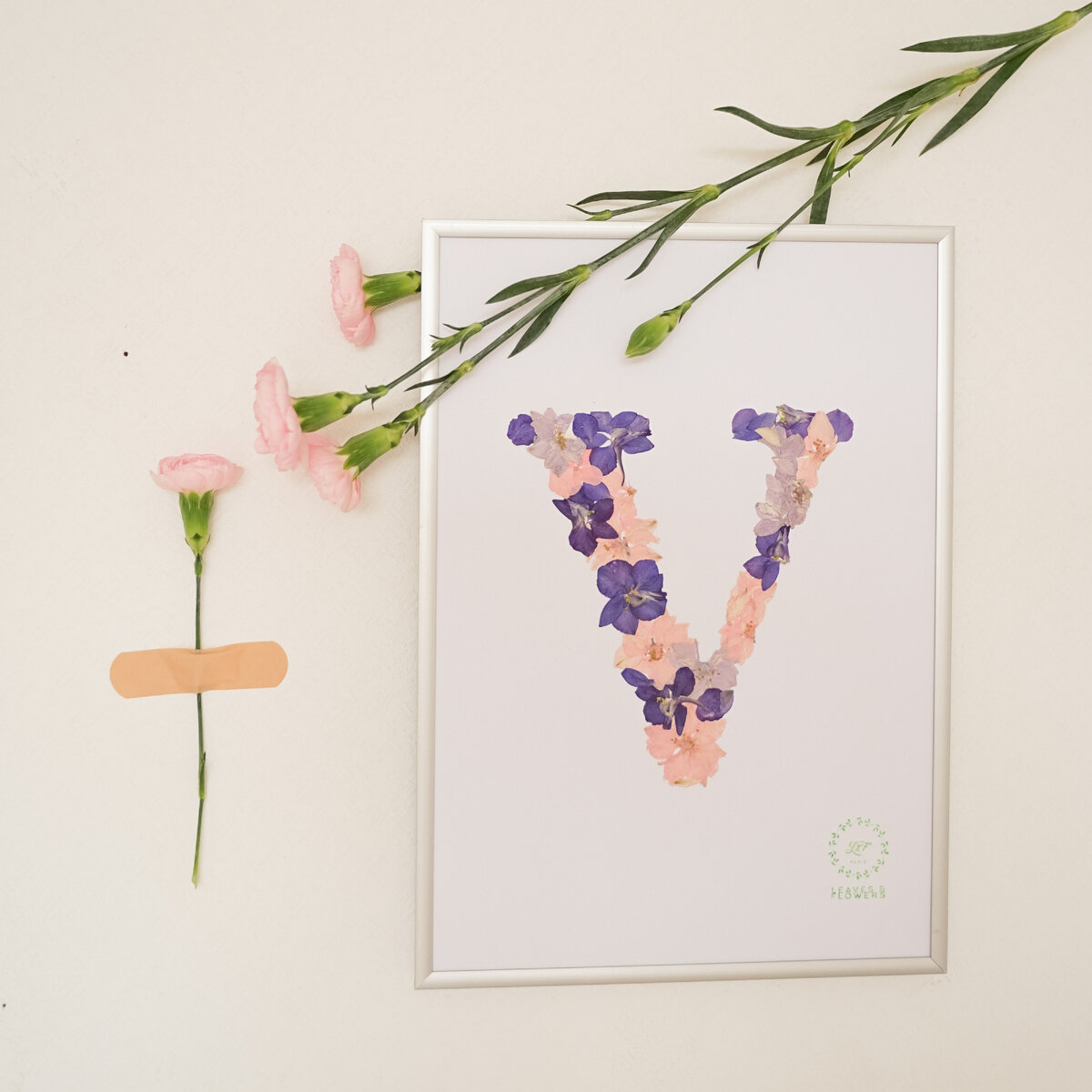 Гербарий Дельфиниум Leaves and Flowers 